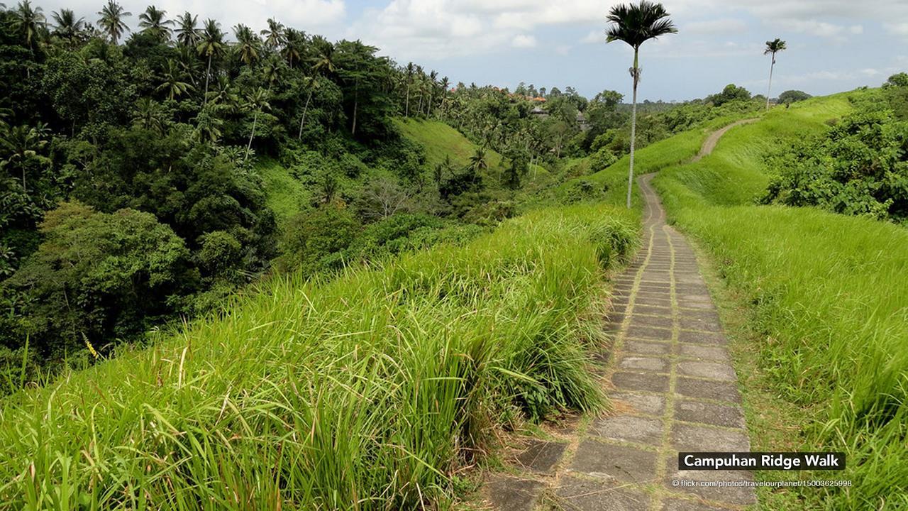 Zen Premium Nyuh Bojog Ubud Exterior foto